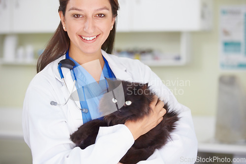 Image of Vet portrait, cat and woman happiness for medical help, wellness healing services or healthcare support. Animal care kindness, veterinary job experience or hospital veterinarian smile with feline