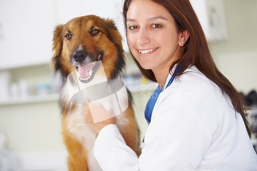 Image of Vet clinic portrait, dog and happy woman for medical help, wellness healing services or animal healthcare support. Happiness, veterinary job experience and hospital veterinarian smile for pet K9 exam