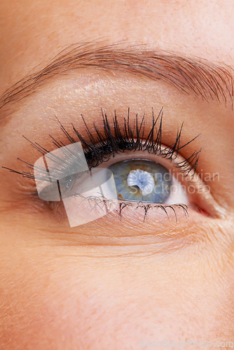 Image of Woman, eyes and closeup with eyelashes, makeup and vision with iris. Zoom, macro and eyeball of a female model for optometry, future and retina for perspective and cosmetics with lash extensions