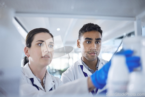 Image of Healthcare, scientist and medical bottles in laboratory for disease research and medicine container with vaccine. Woman, man or diversity for pharmaceutical analysis or science of chemistry inventory