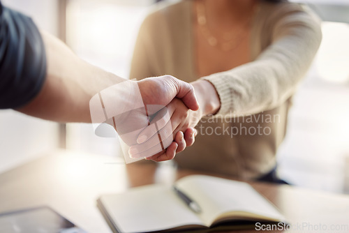 Image of Business people, closeup or shaking hands in meeting, interview or success of b2b partnership, support collaboration or promotion. Team, HR negotiation or handshake of deal, onboarding or recruitment