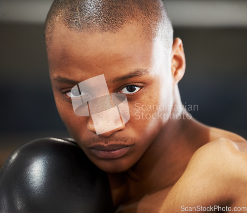 Image of Boxing, gloves and portrait of fearless black man training with fitness, power and workout challenge. Strong body, muscle and boxer in gym, athlete with fist up and confidence in competition fighting