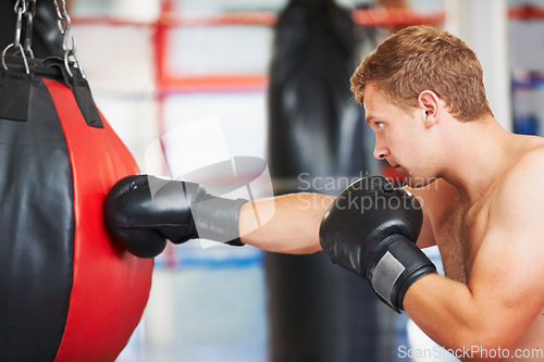 Image of Man, boxer and punching bag at gym for workout, exercise or self defense practice in fighting sport. Active male person boxing with gloves for energy, indoor training or martial arts at health club