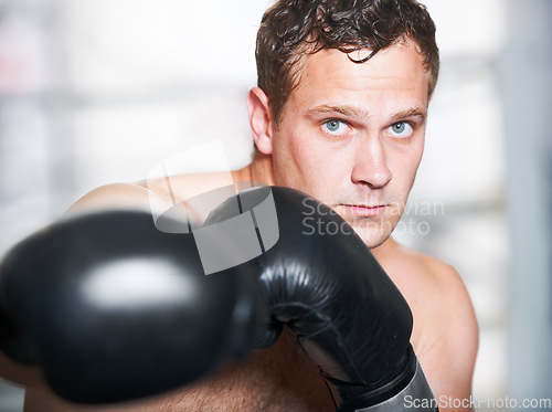 Image of Boxing, gloves and serious portrait of man with fitness, power and training challenge in gym. Strong body, muscle and confidence, boxer or athlete with fist up and fearless for competition fight.