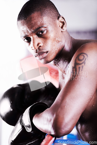 Image of Boxing, gym and portrait of black man in ring with fitness, power and workout challenge at sports club. Strong body, face of athlete or boxer in gloves with sweat and confidence in competition fight.