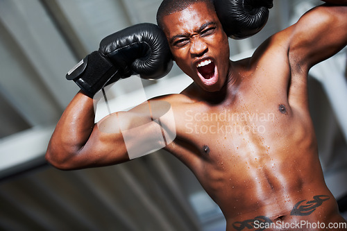 Image of Boxing, shouting and portrait of fearless black man training with fitness, power or winning workout challenge. Strong body, muscle and excited boxer with scream and confidence in competition fighting