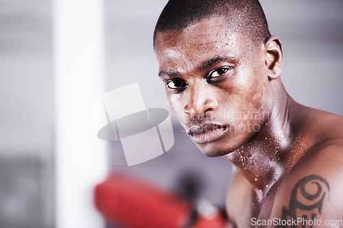 Image of Man, boxer and portrait in gym, sweat and face for workout, boxing and strong. Exercise, sports and training for power, self defense and concentration for challenge, mma and fighting skills