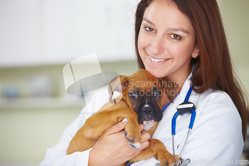 Image of Vet service portrait, dog and happy woman for medical help, wellness healing career or animal healthcare support. Veterinary aid, specialist trust and veterinarian smile for pet canine health care