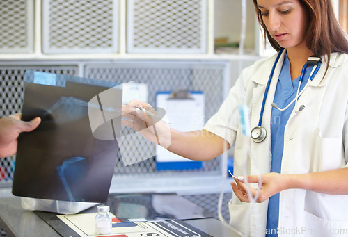 Image of Woman, veterinarian and doctor with xray at animal shelter for examination, tests or diagnosis on injury at vet. Female person, nurse or medical pet professional receiving CT scan or MRI at clinic