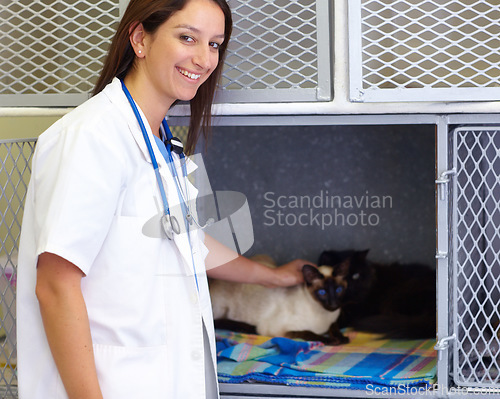 Image of Vet service portrait, cat and happy woman, expert or professional for medical help, kitty examination or animal healthcare. Veterinary patient, cage kitten and veterinarian for pet feline health care