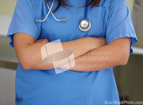 Image of Woman, doctor and arms crossed of professional veterinarian for healthcare or domestic animal service. Closeup of female person, nurse or medical surgeon in confidence at pet shelter, clinic or vet