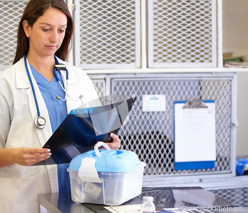 Image of Woman, veterinarian and surgeon with xray at animal shelter for examination, tests or diagnosis on injury at vet. Female person, nurse or medical pet professional looking at CT scan or MRI at clinic