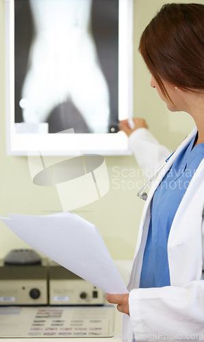 Image of Woman, veterinarian and nurse with xray of animal for examination, tests or diagnosis on injury at vet. Female person, doctor or medical pet professional looking at CT scan or MRI for clinic checkup