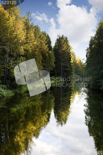 Image of Fall Forest