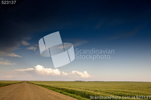 Image of Prairie Storm Landscape