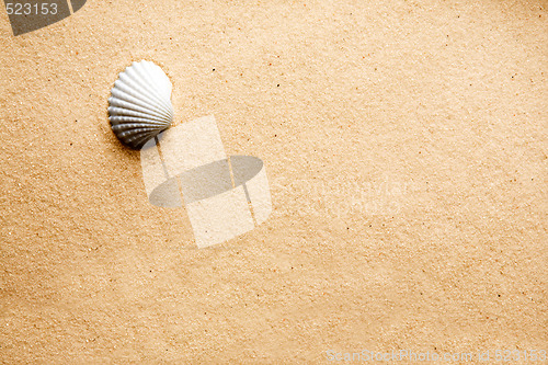 Image of Sand Shell Background