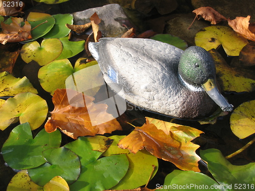 Image of Plastic duck