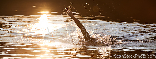 Image of Triathlon athlete swimming on lake in sunrise wearing wetsuit