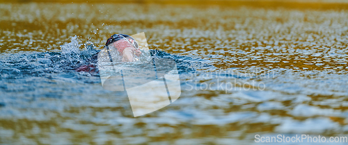 Image of Triathlon athlete swimming on lake in sunrise wearing wetsuit