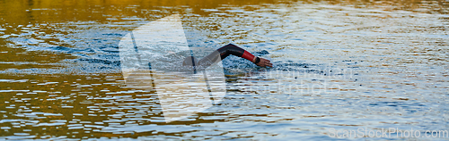 Image of Triathlon athlete swimming on lake in sunrise wearing wetsuit