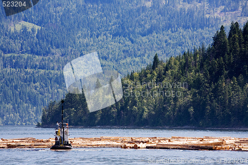 Image of Coastal Logging