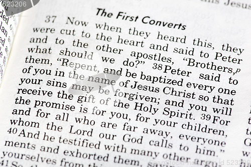 Image of Acts 2:28