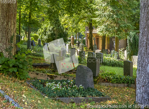 Image of sunny graveyard scenery