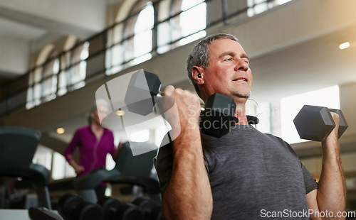 Image of Senior fitness, gym and old man with dumbbells for weightlifting, challenge or workout, training or bodybuilding. Biceps, arms and elderly person with hand weight for strength, mindset or exercise