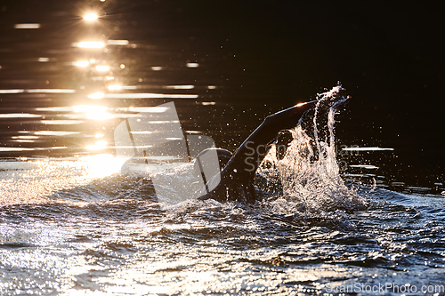 Image of Triathlon athlete swimming on lake in sunrise wearing wetsuit