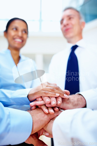 Image of Business people, hands together and meeting in teamwork for motivation, unity or collaboration at office. Group of employees piling for building, diversity or support in community trust at workplace
