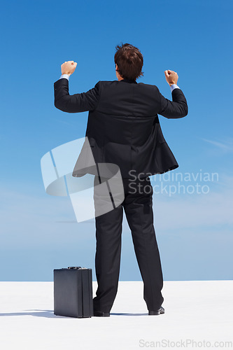 Image of Businessman, briefcase and celebrate with fist, success and back in blue sky, corporate and victory. Winner, goal and outdoor for achievement, bonus and milestone for business or financial profit