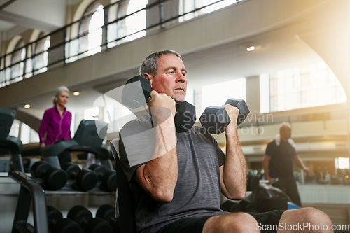 Image of Gym, fitness and senior man with dumbbells for weightlifting, challenge or cardio workout, training or bodybuilding. Biceps, arms and elderly person with hand weight for strength, mindset or exercise