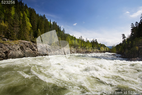 Image of Forest River