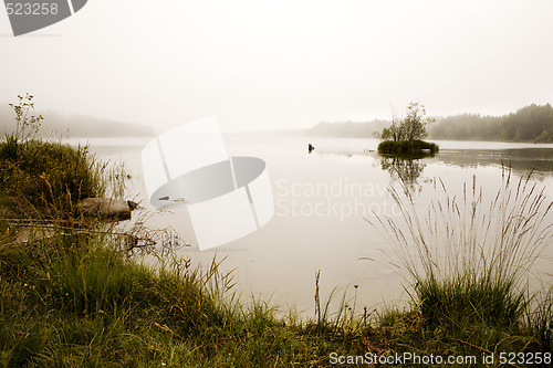 Image of Fog on Lake