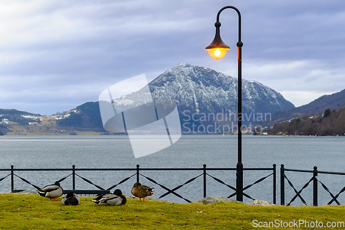 Image of Illuminated Street Lamp Overlooking a Peaceful Lake Scene With S