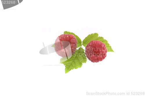 Image of raspberry