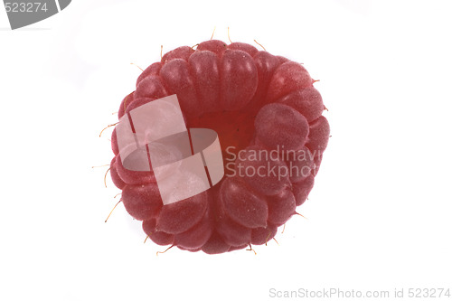 Image of raspberry