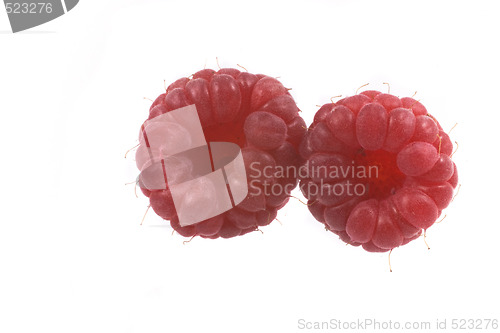 Image of raspberry