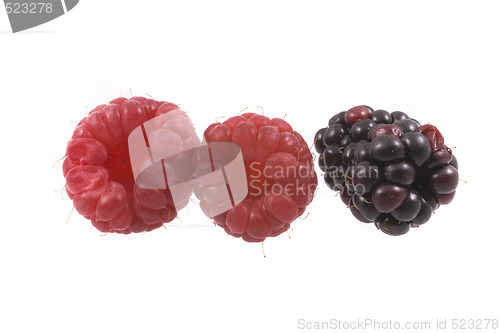 Image of raspberry