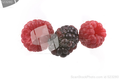 Image of raspberry