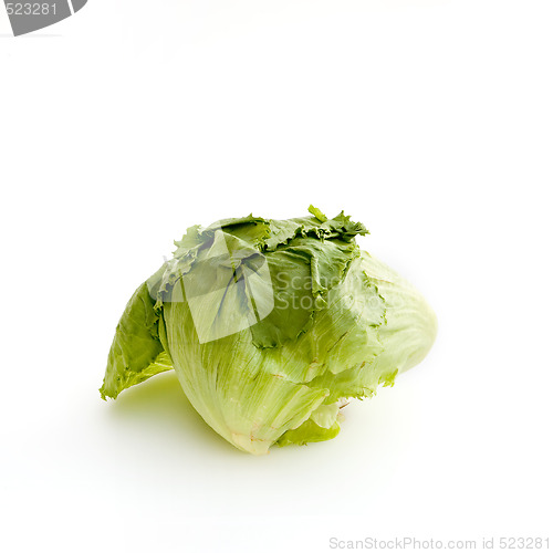 Image of Lettuce on White