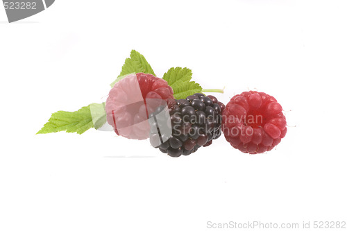 Image of raspberry