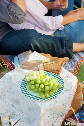 Image of Couple, cheese and grapes for picnic in park on anniversary, date or celebration together in summer. Healthy food, basket and people closeup on blanket, outdoor on grass and brunch, meal or snack