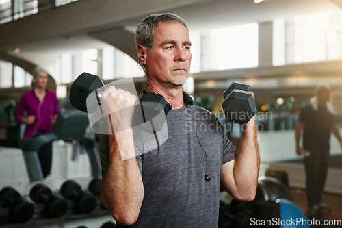 Image of Senior fitness, old man and dumbbells at a gym for weightlifting, challenge or workout, training or bodybuilding. Biceps, arms and elderly person with hand weight for strength, mindset or exercise