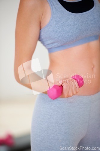 Image of Dumbbells, hands and woman in gym for fitness, bodybuilder workout and exercise to lose weight. Sports club, weightlifting and closeup of person training with weights for wellness, health or strength