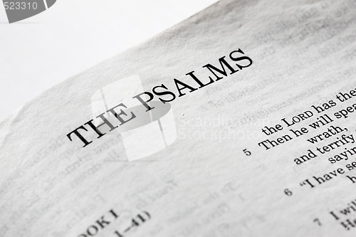 Image of The Psalms