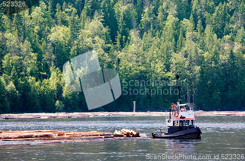 Image of Coastal Logging