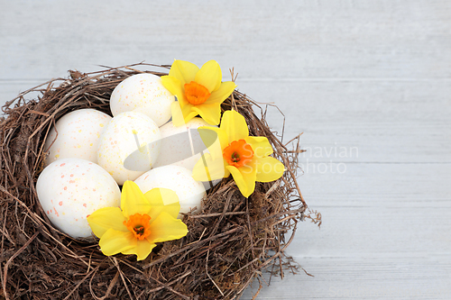 Image of Easter Nest with Decorated Eggs and Narcissus Flowers