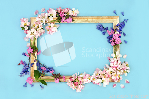 Image of Spring Beltane Flower Decorative Background Frame