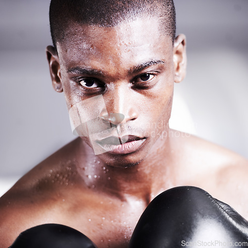 Image of Boxing, gloves and portrait of black man with power, fitness and workout challenge at sports club. Strong body, face of athlete or warrior boxer in gym with sweat and confidence in competition fight.